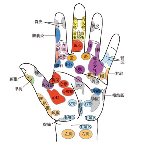 食指代表器官|人人都能学会的手诊——手指与五脏